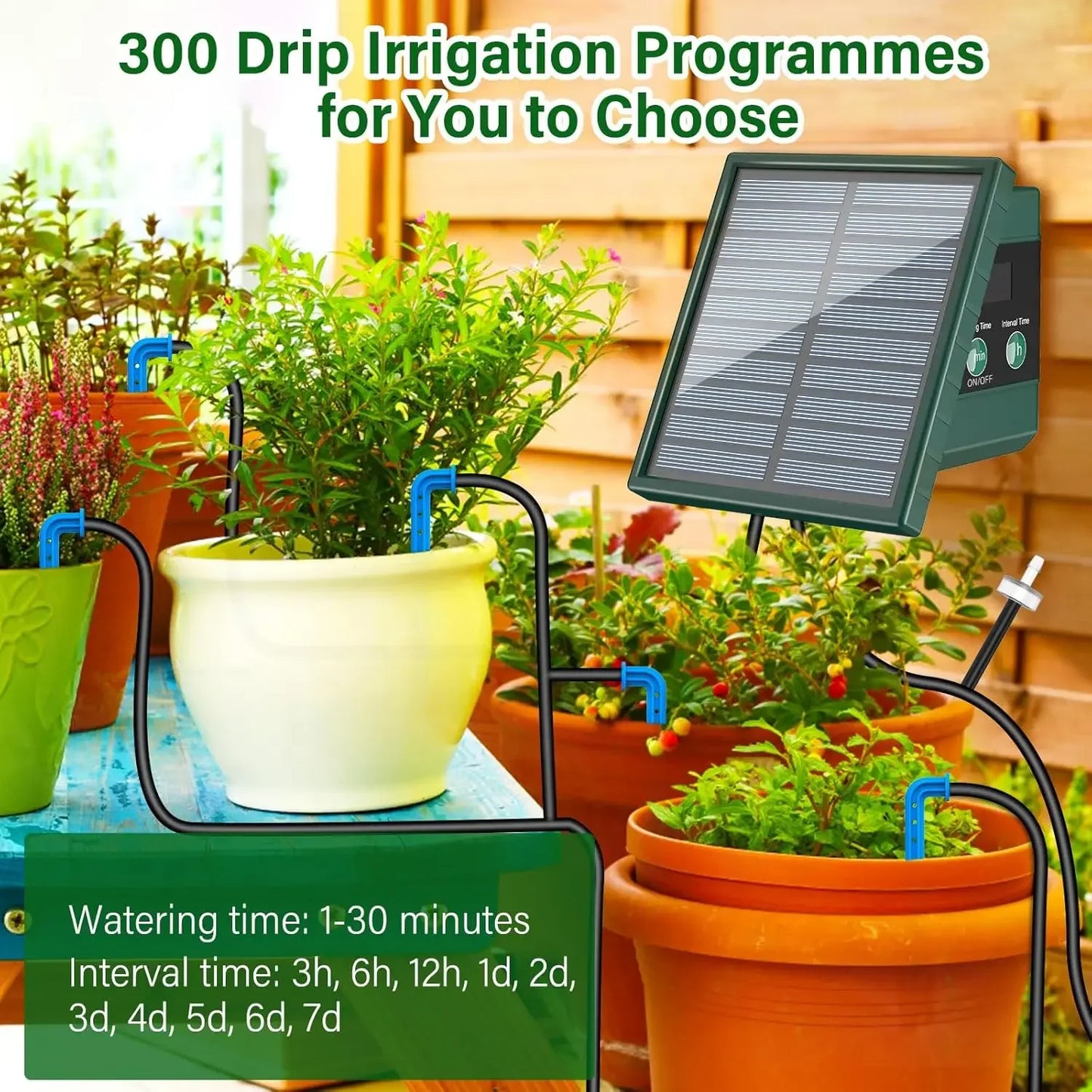 Solar Automatic Watering System