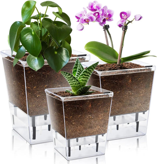 Clear Self-Watering Plant Pots