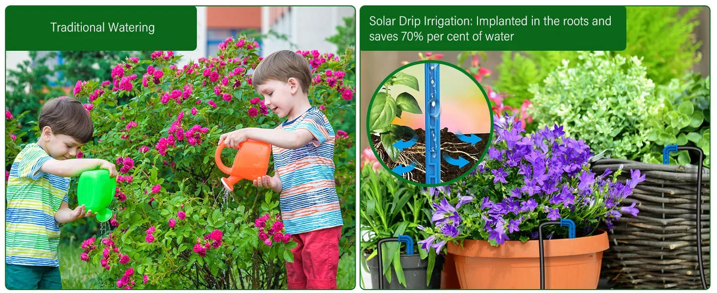Solar Automatic Watering System