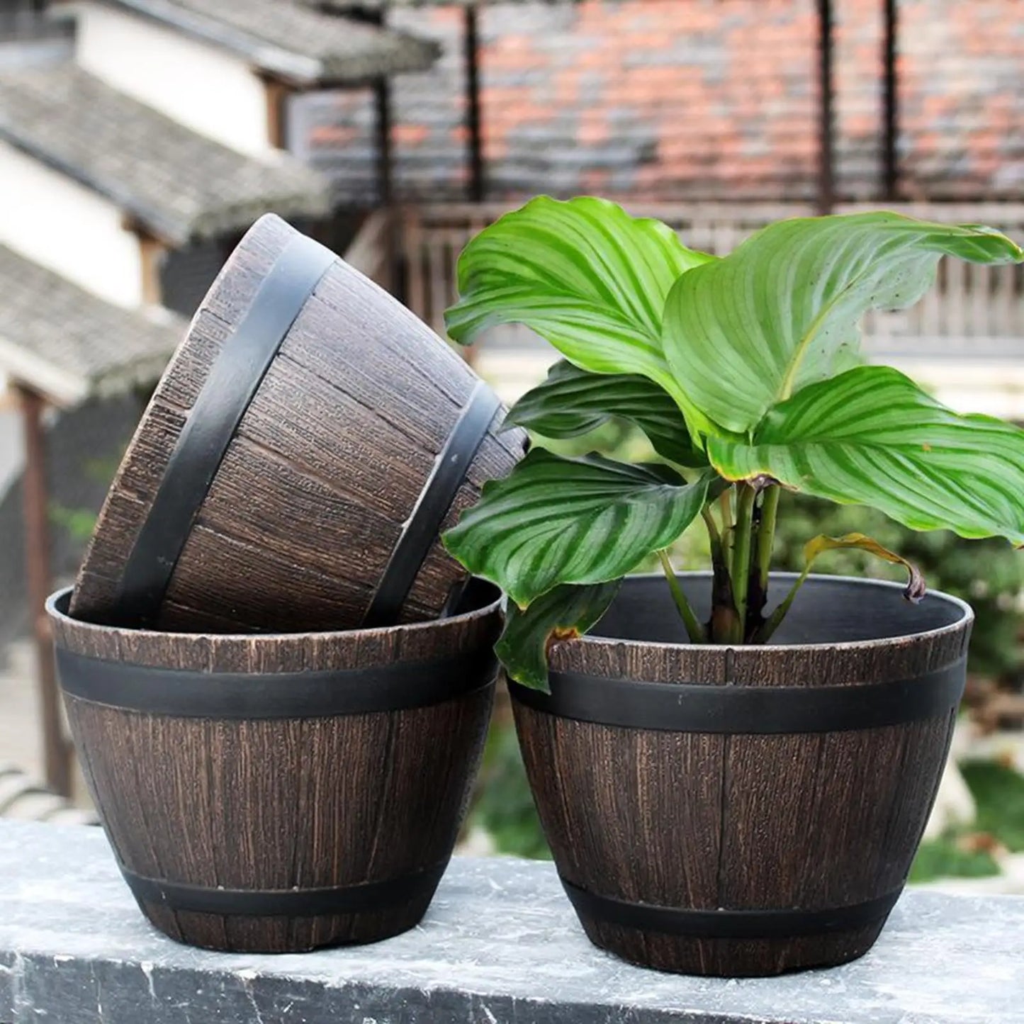 Garden Barrel Planter
